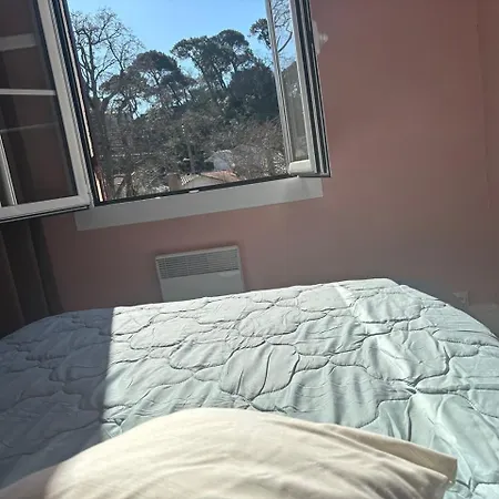 Havre De Paix Entre Et Verdure, A Pied Apartment