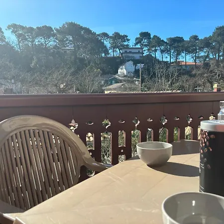 Havre De Paix Entre Et Verdure, A Pied Apartment Arcachon