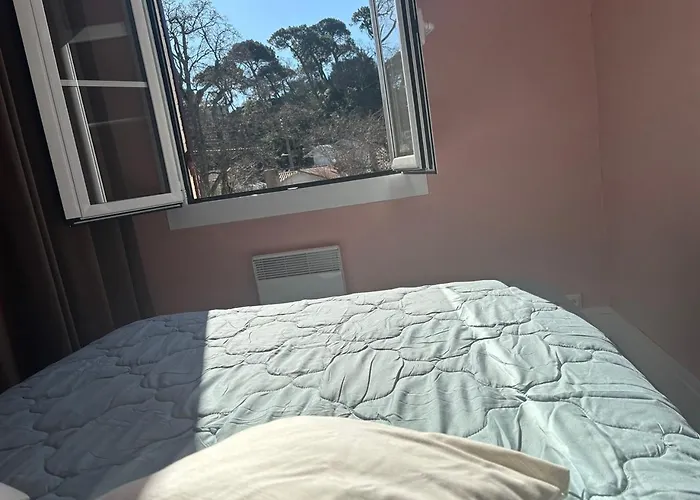 Havre De Paix Entre Et Verdure, A Pied Apartment