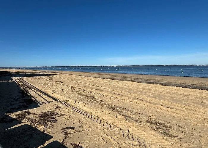 Havre De Paix Entre Et Verdure, A Pied * Arcachon