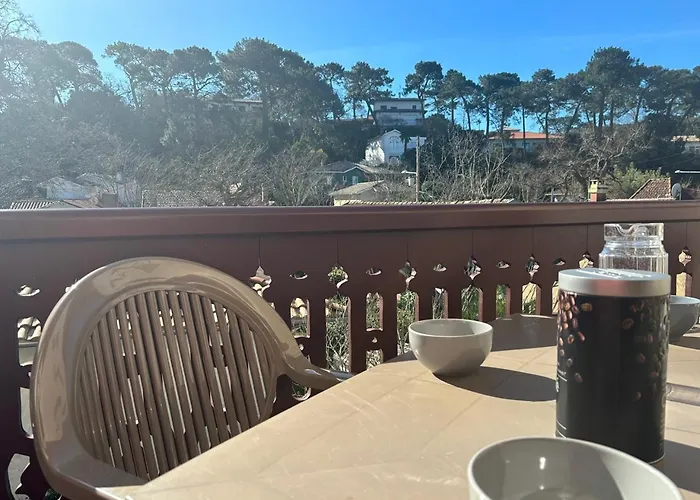 Havre De Paix Entre Et Verdure, A Pied Apartment Arcachon